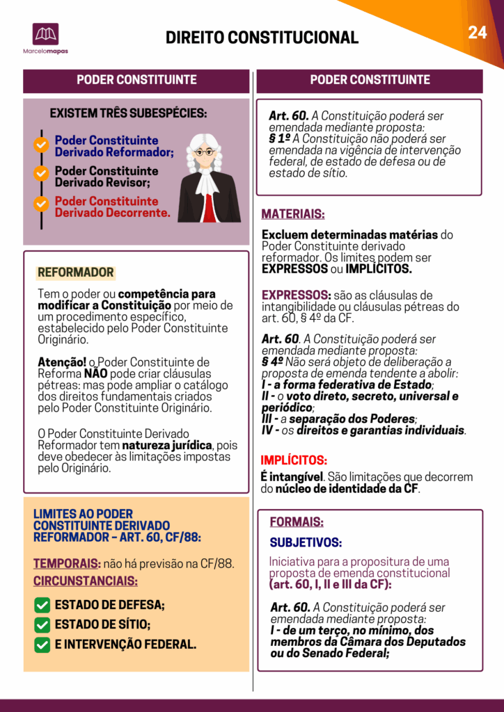 Amostra Direito Constitucional 3